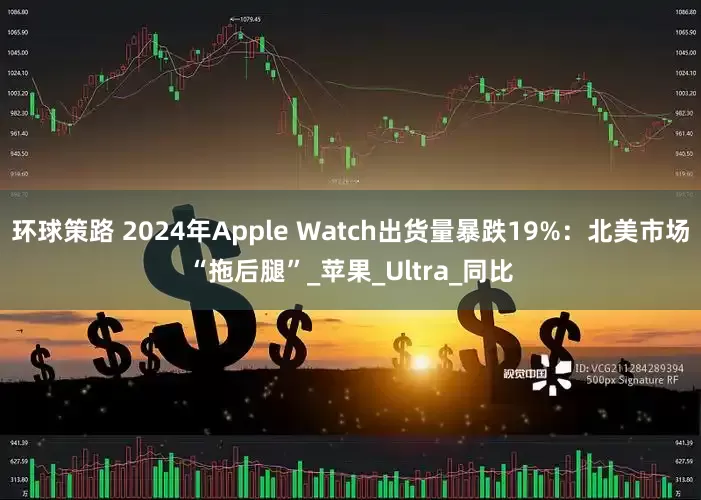环球策路 2024年Apple Watch出货量暴跌19%：北美市场“拖后腿”_苹果_Ultra_同比