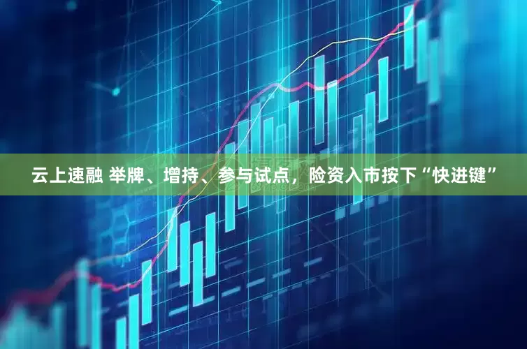 云上速融 举牌、增持、参与试点，险资入市按下“快进键”