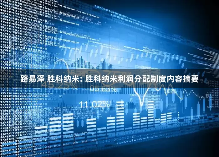 路易泽 胜科纳米: 胜科纳米利润分配制度内容摘要