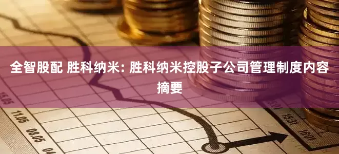 全智股配 胜科纳米: 胜科纳米控股子公司管理制度内容摘要